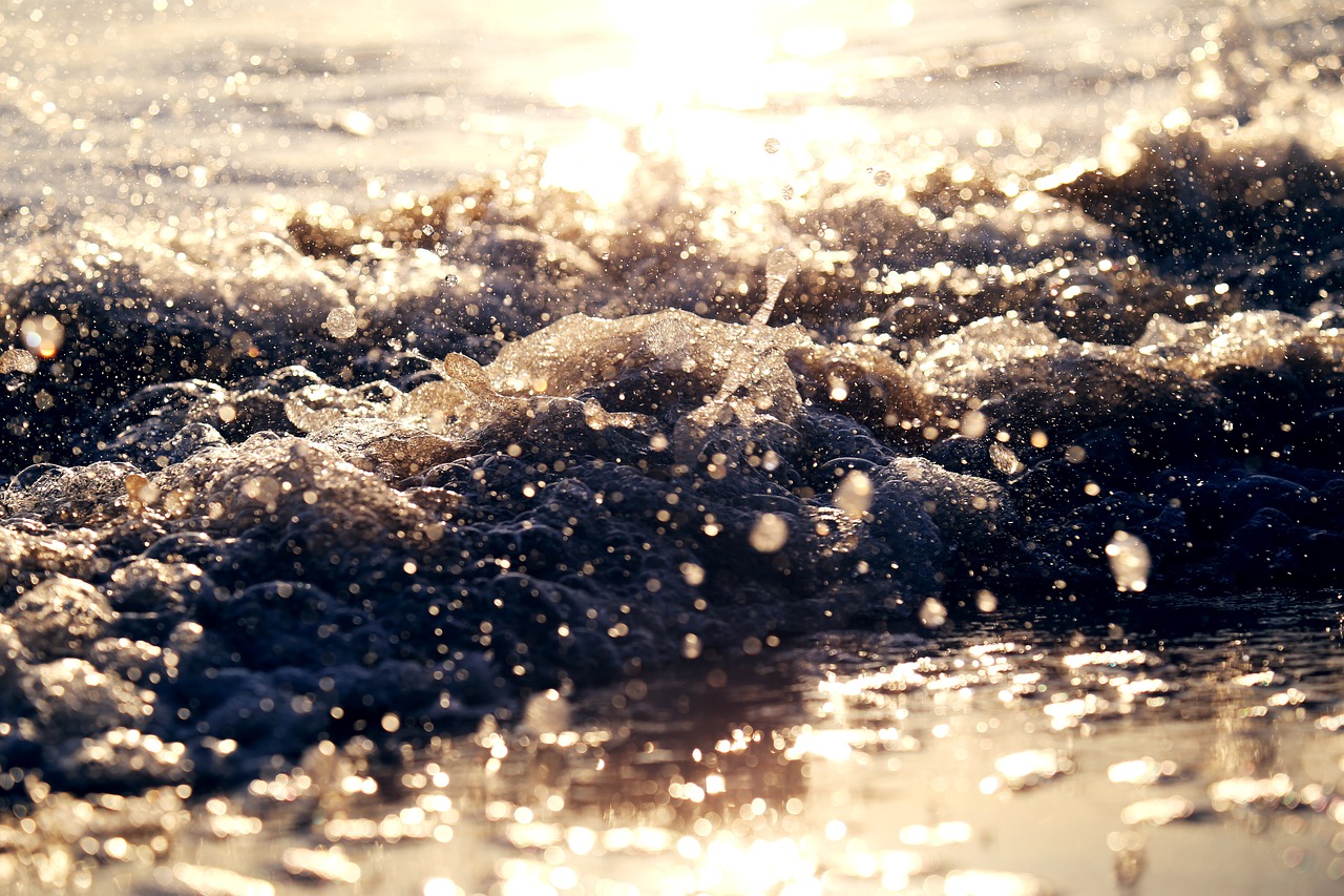 beach sand shore free photo