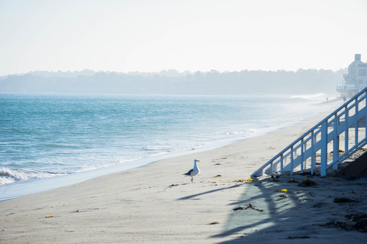 beach sand shore free photo