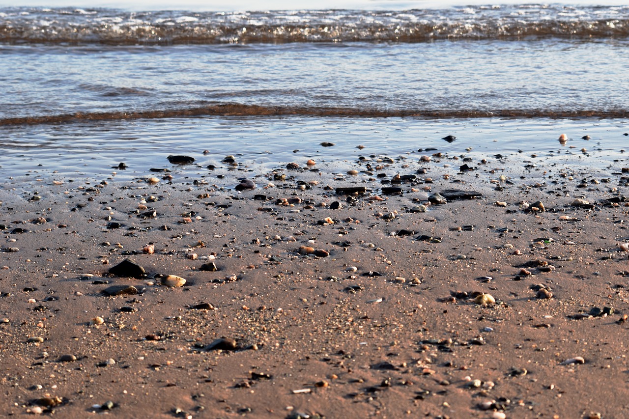 beach sea water free photo