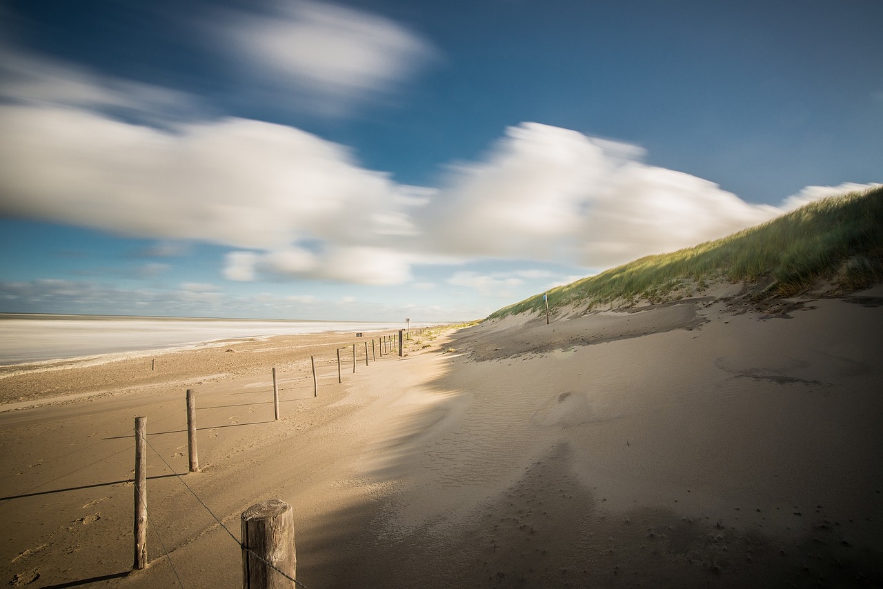 beach sand dune free photo