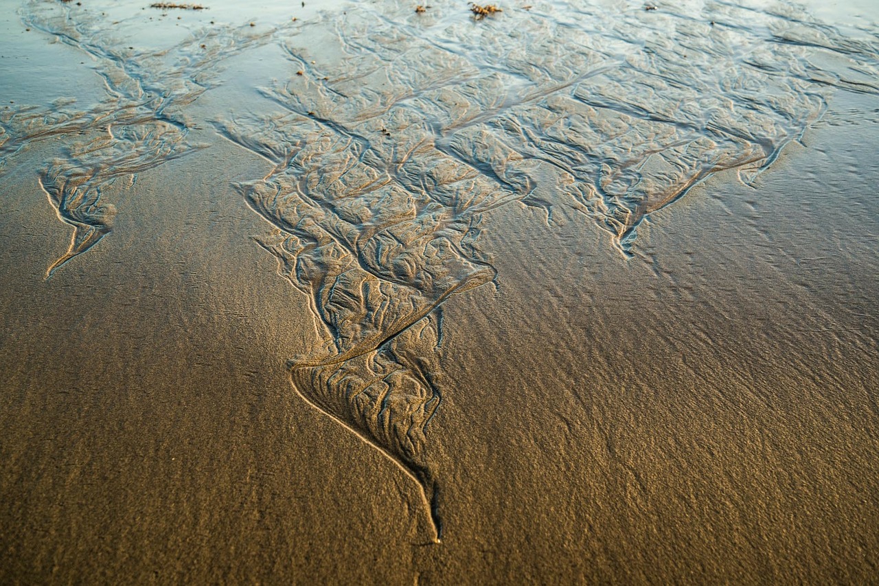 beach long reef sydney free photo