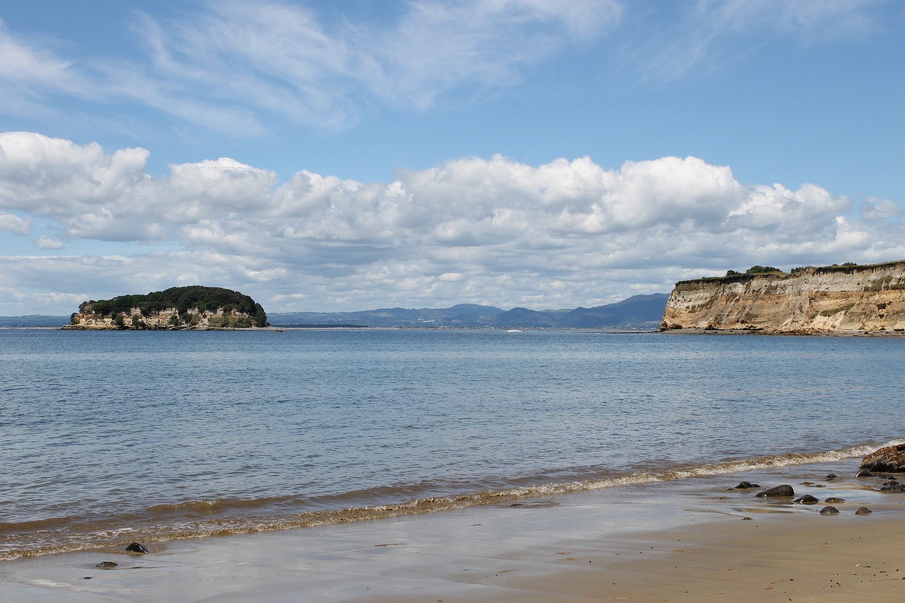 beach new zealand summer free photo