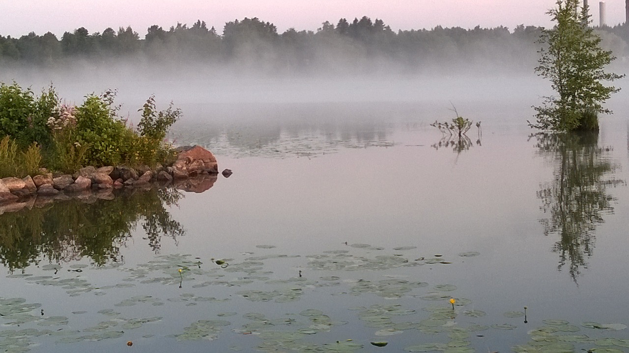 Озеро Леушинский туман