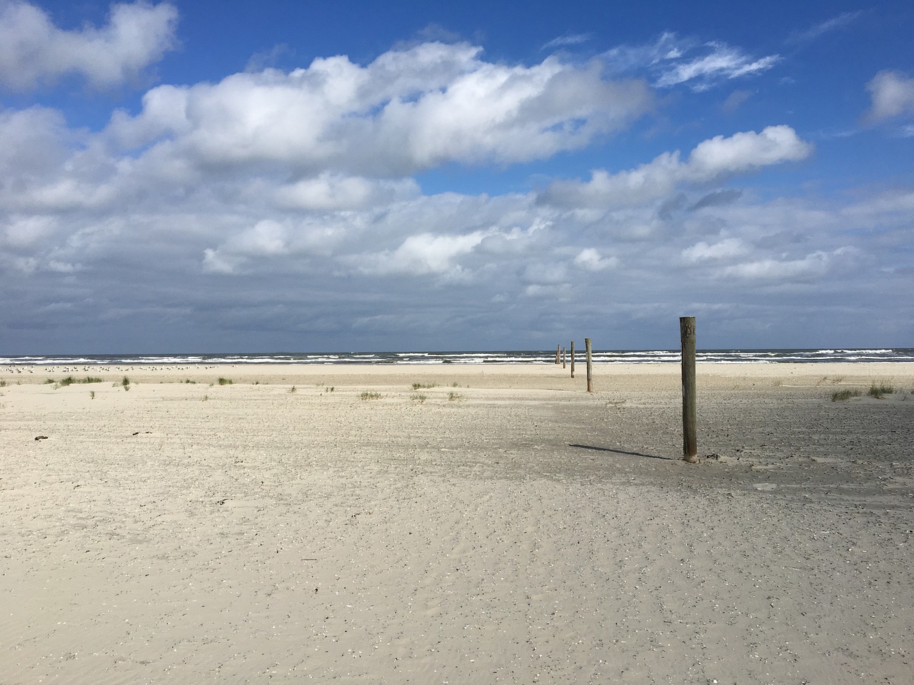 beach summer clouds free photo