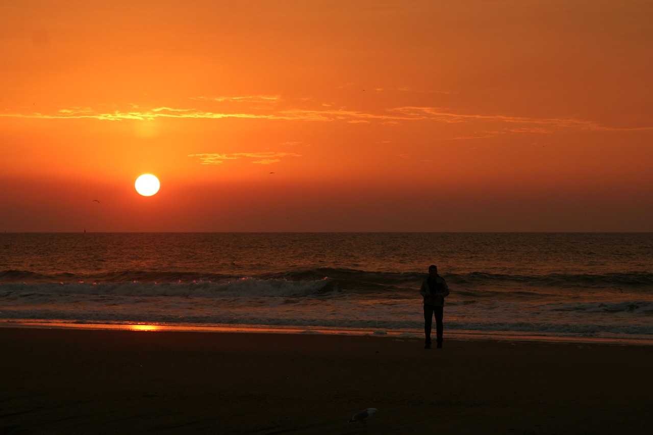 beach sunset den-haag free photo