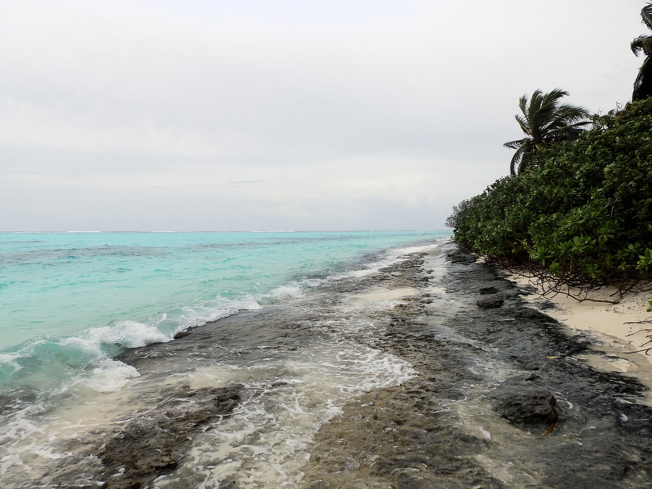 beach maldives ocean free photo