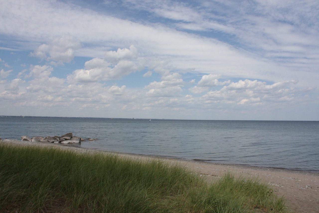 beach sky grass free photo