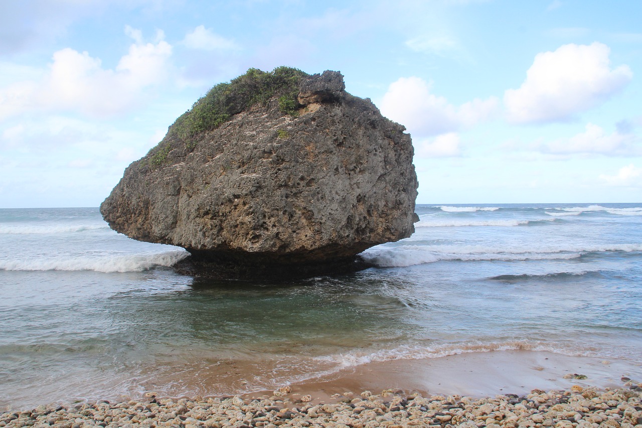 beach barbados nature free photo