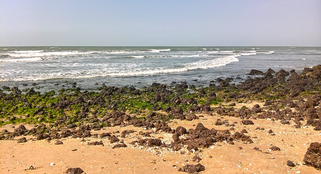 beach stoney beach tropical free photo