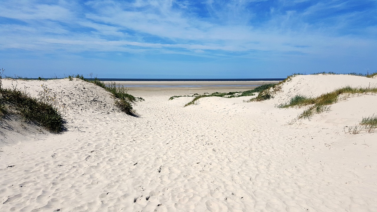 beach north sea by the sea free photo