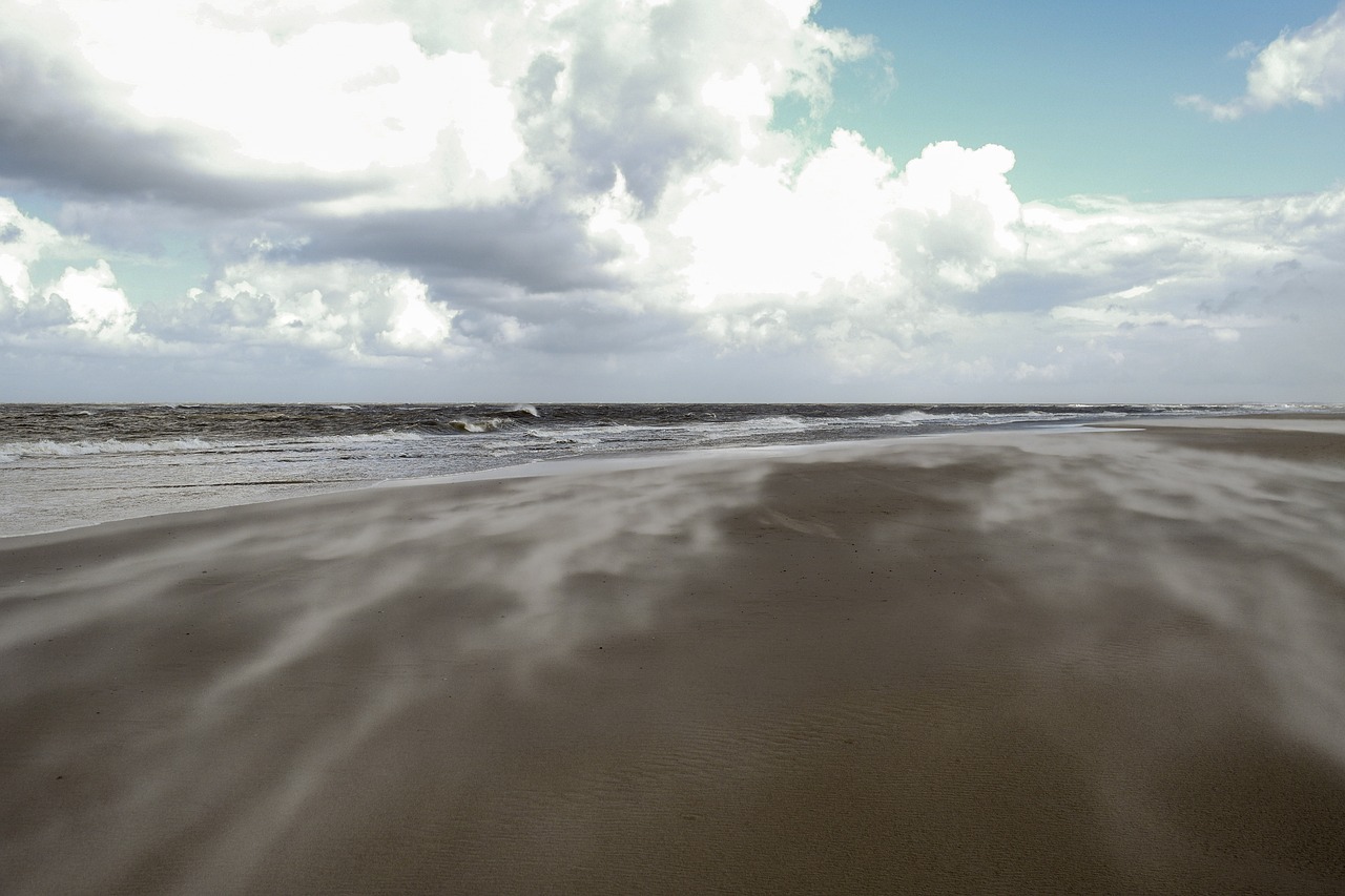 beach sand wind free photo