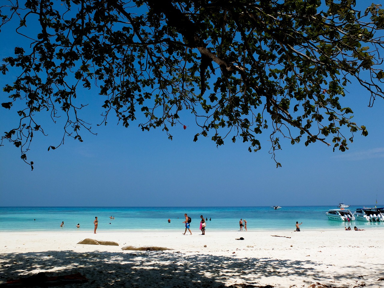 beach sea ocean free photo