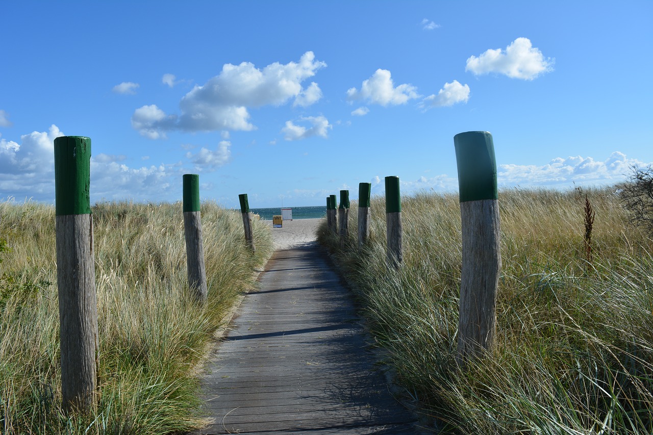 beach lake baltic sea free photo