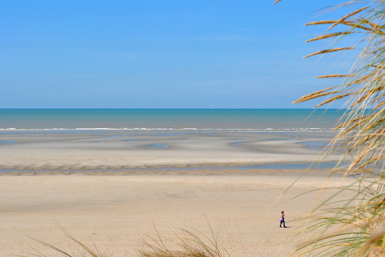 beach sea man free photo