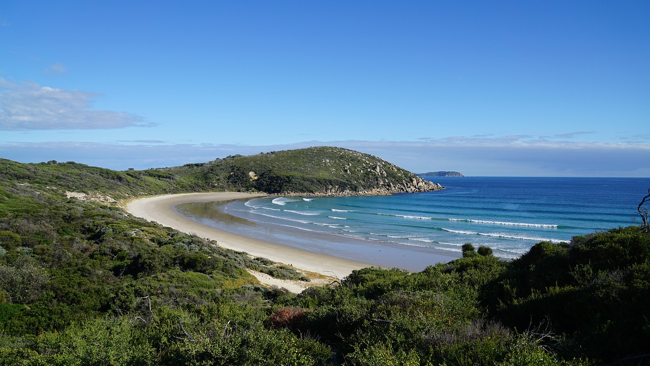 beach island ocean free photo