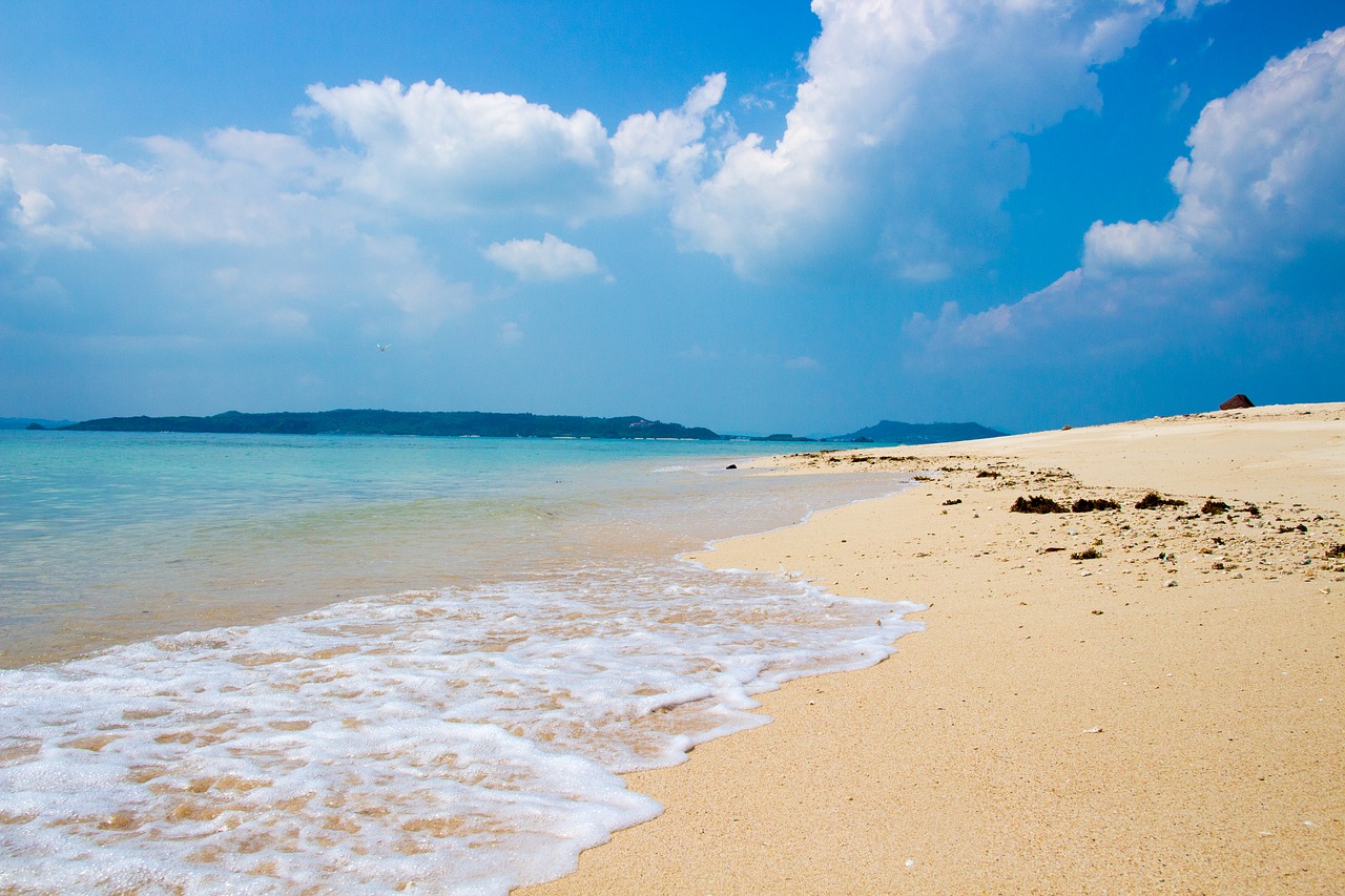 beach wave sea free photo