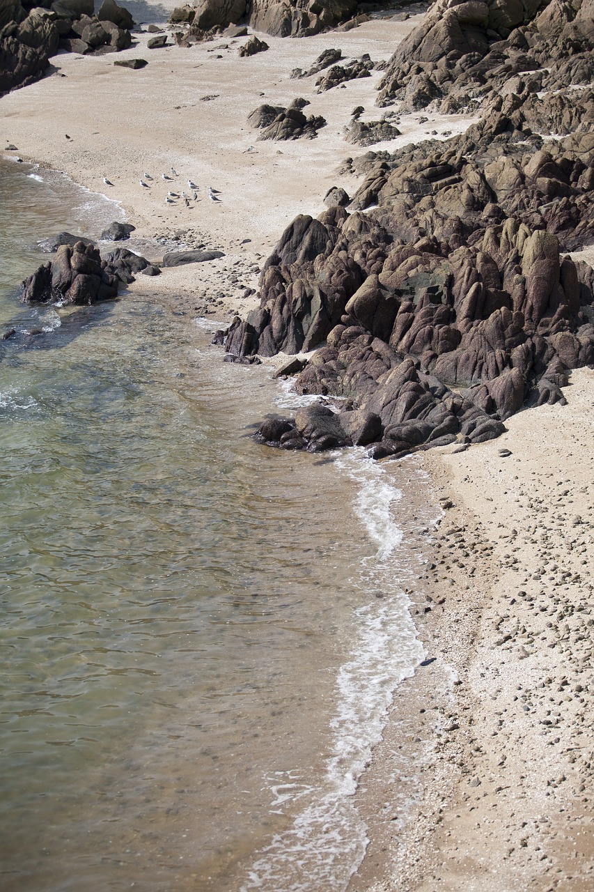 beach sand coastal free photo