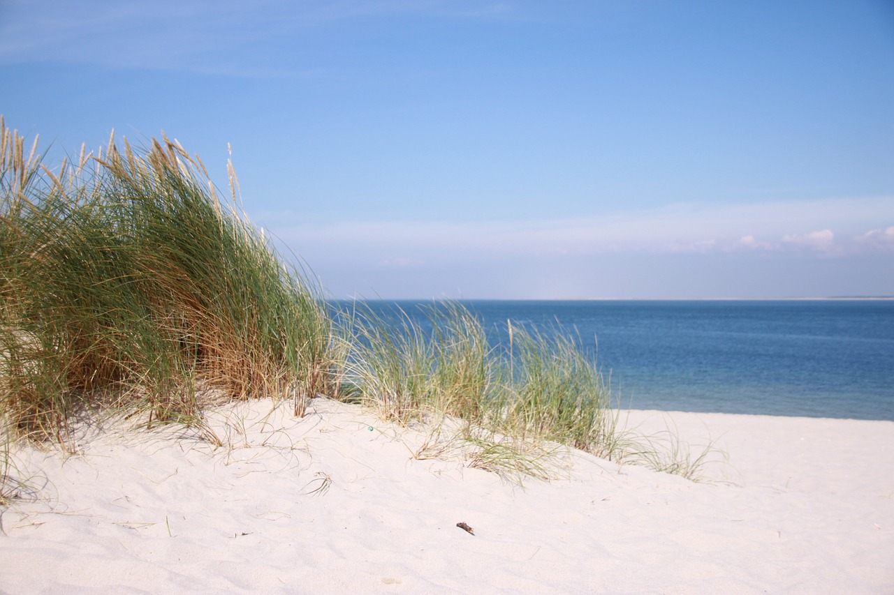 beach sand north sea free photo