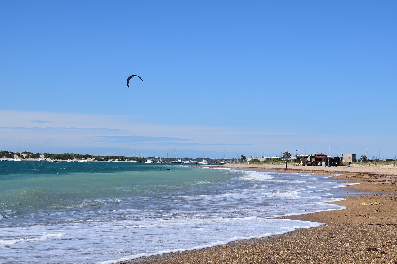 beach sea seagull free photo