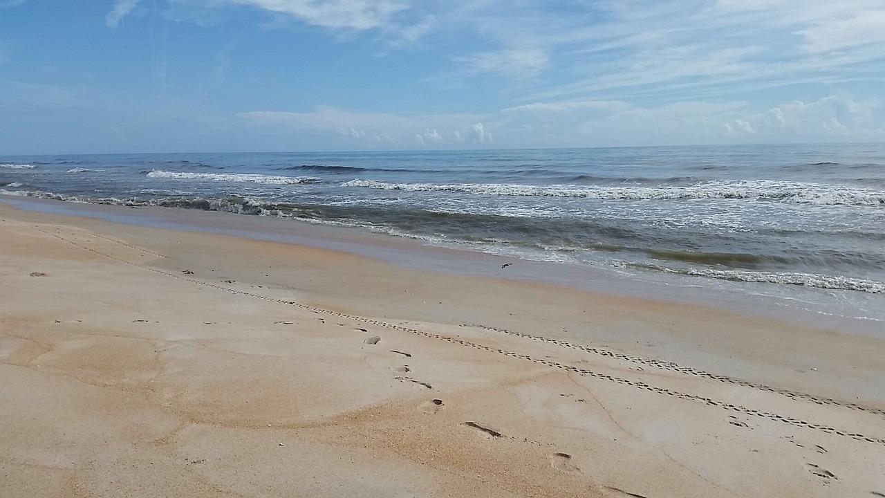 beach tide ocean free photo