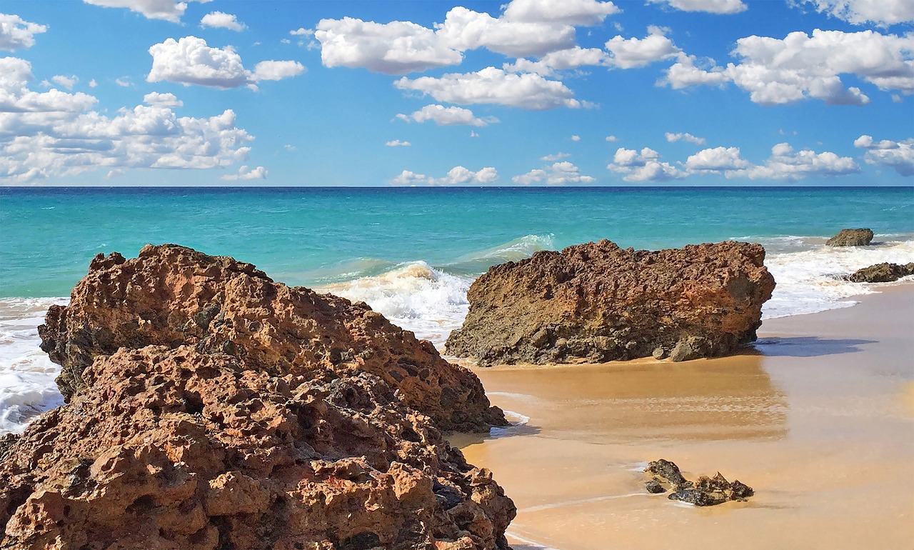 beach sea holiday free photo