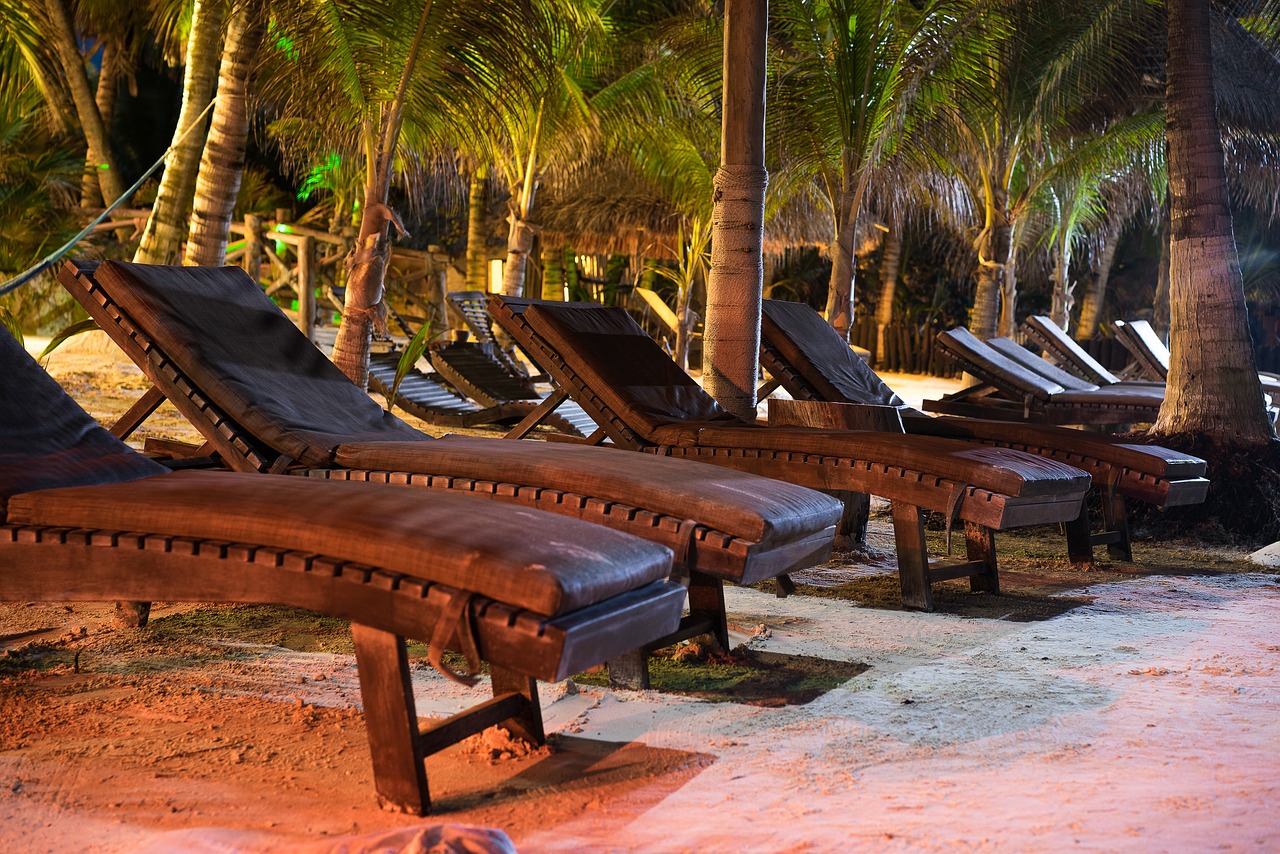 beach palms sand free photo