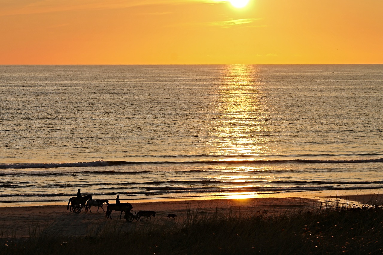 beach sunset horses free photo