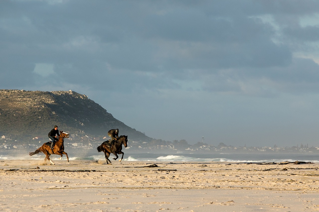 beach horses racing free photo