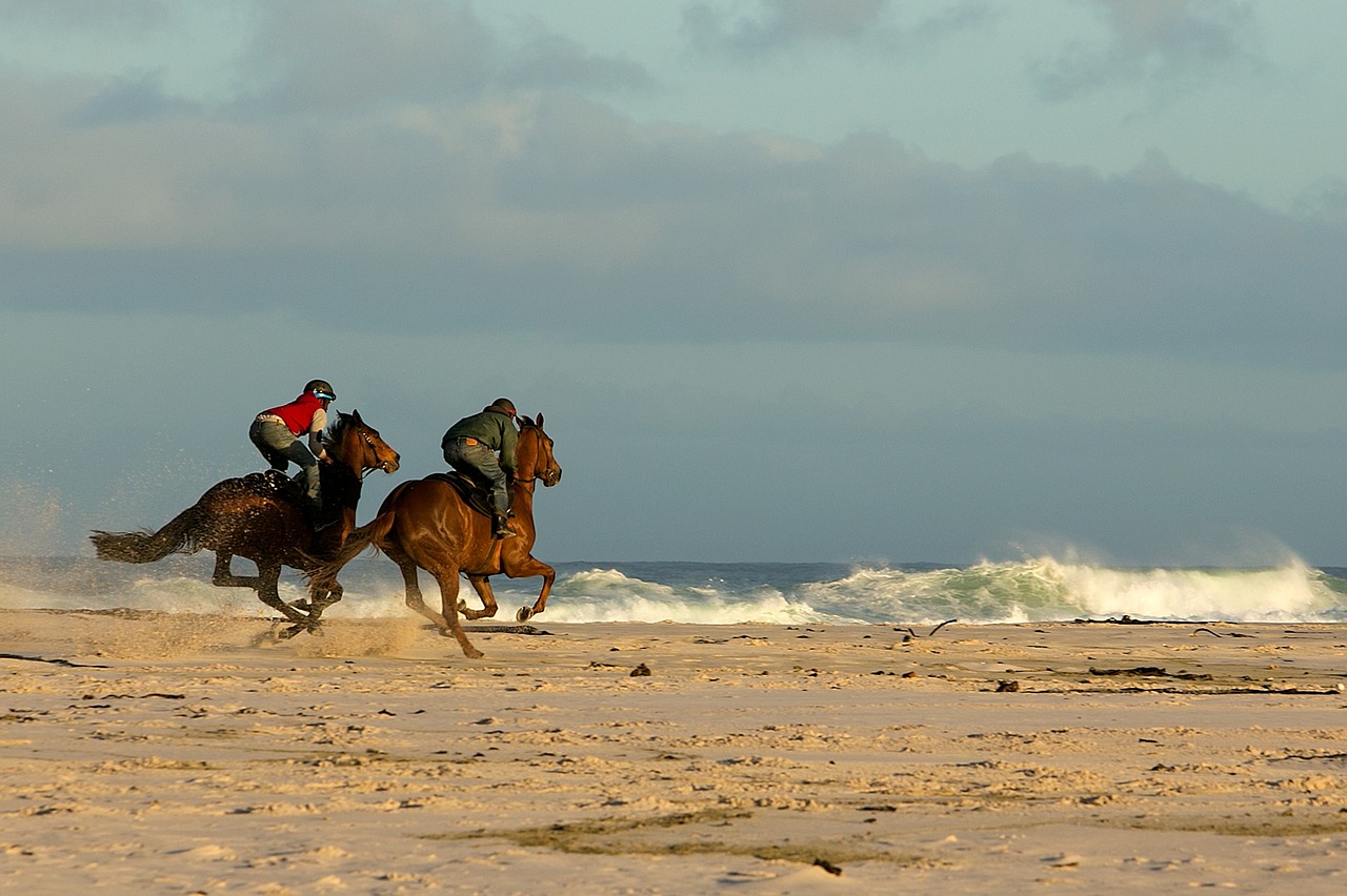 beach horses racing free photo