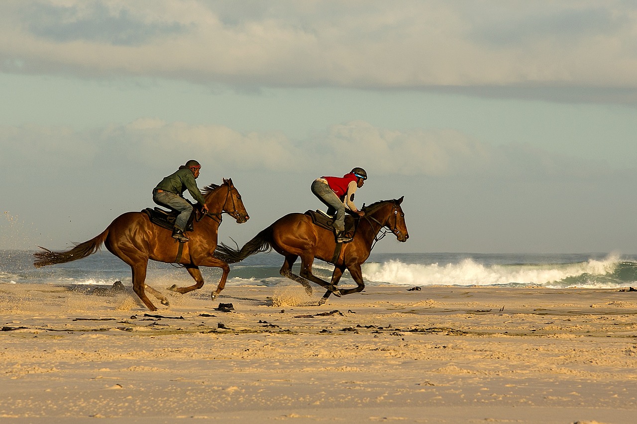 beach horses racing free photo