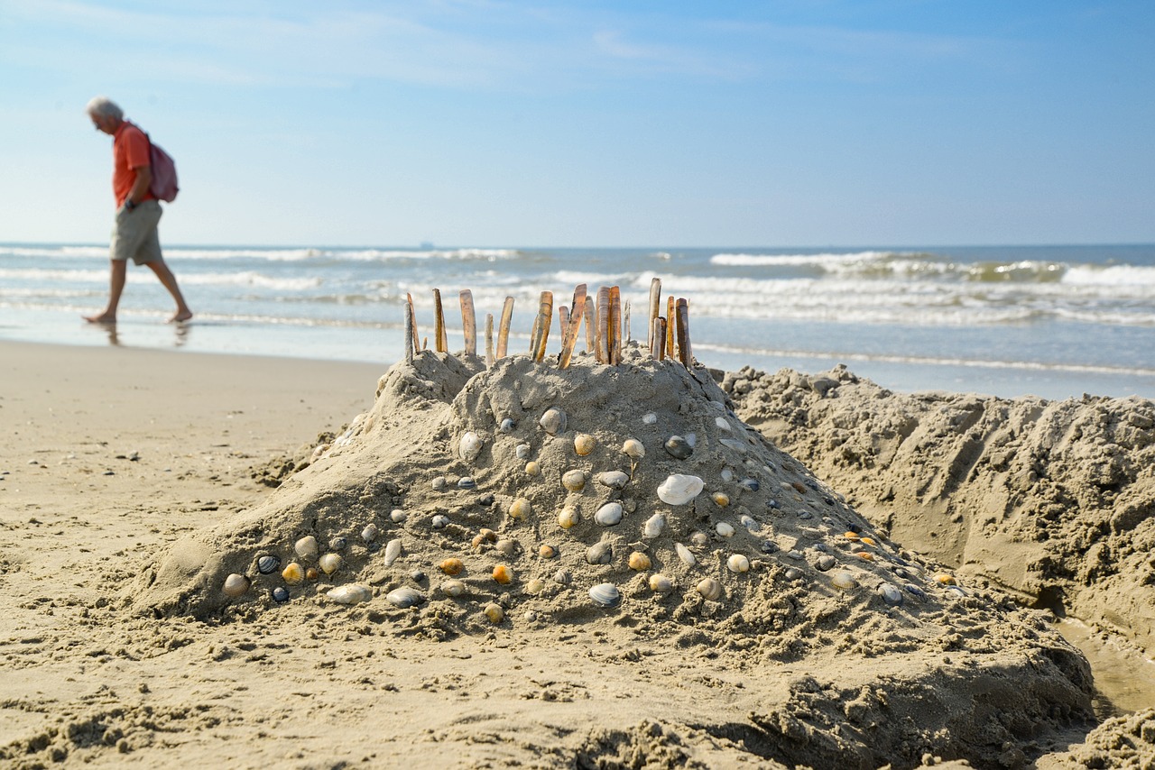 beach castle shell free photo