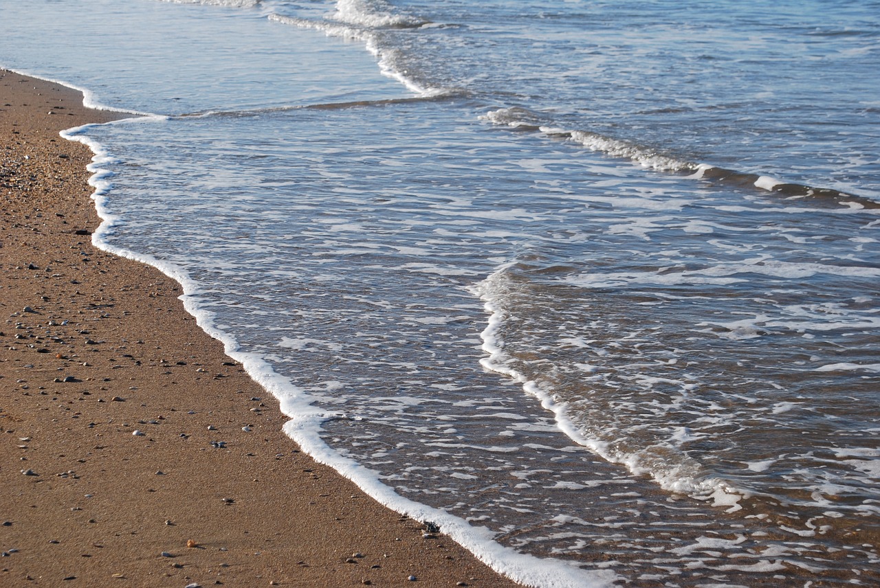 beach sea wave free photo