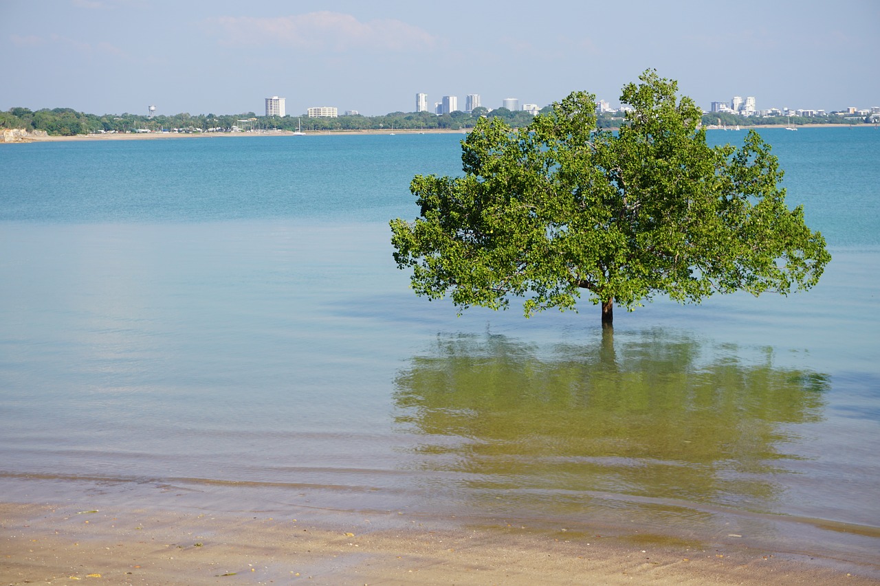 beach city calm free photo