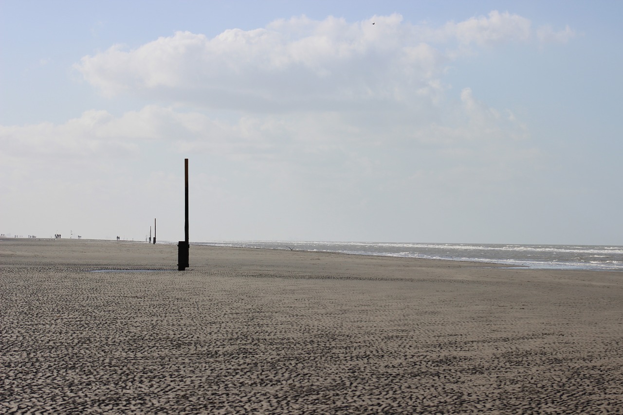 beach horizon sea free photo