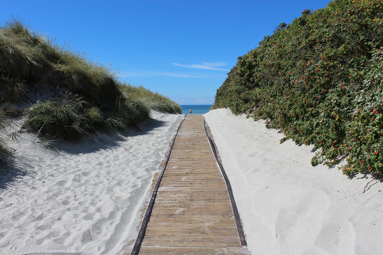 beach sand ocean free photo