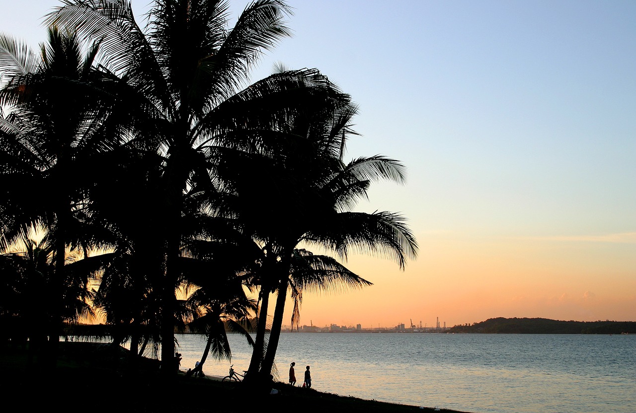 beach sunset palm free photo
