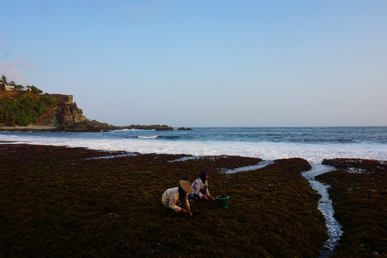 beach sea water beachfront free photo