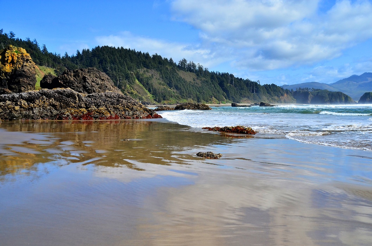 beach coast northwest free photo