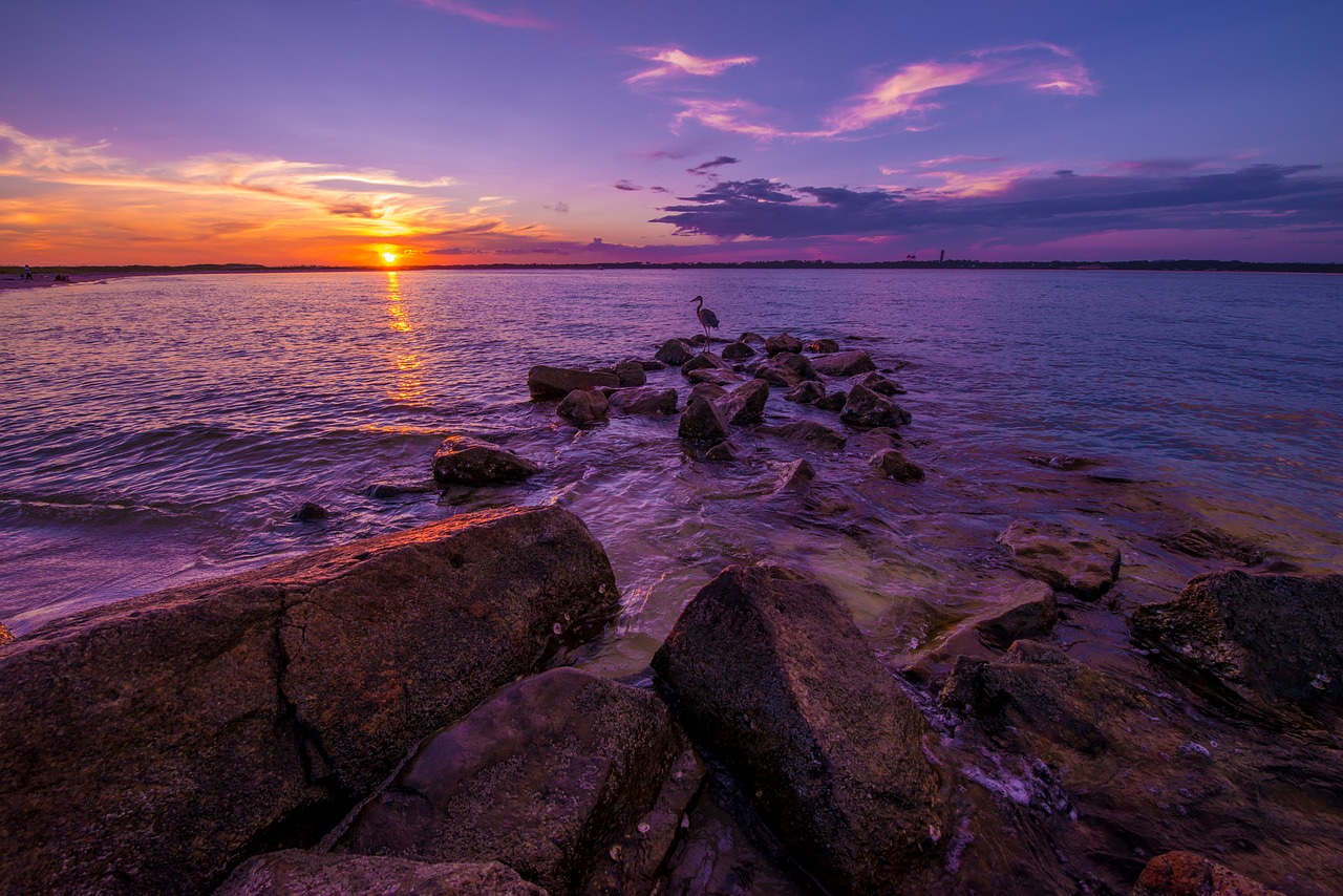 beach gulf coast florida free photo