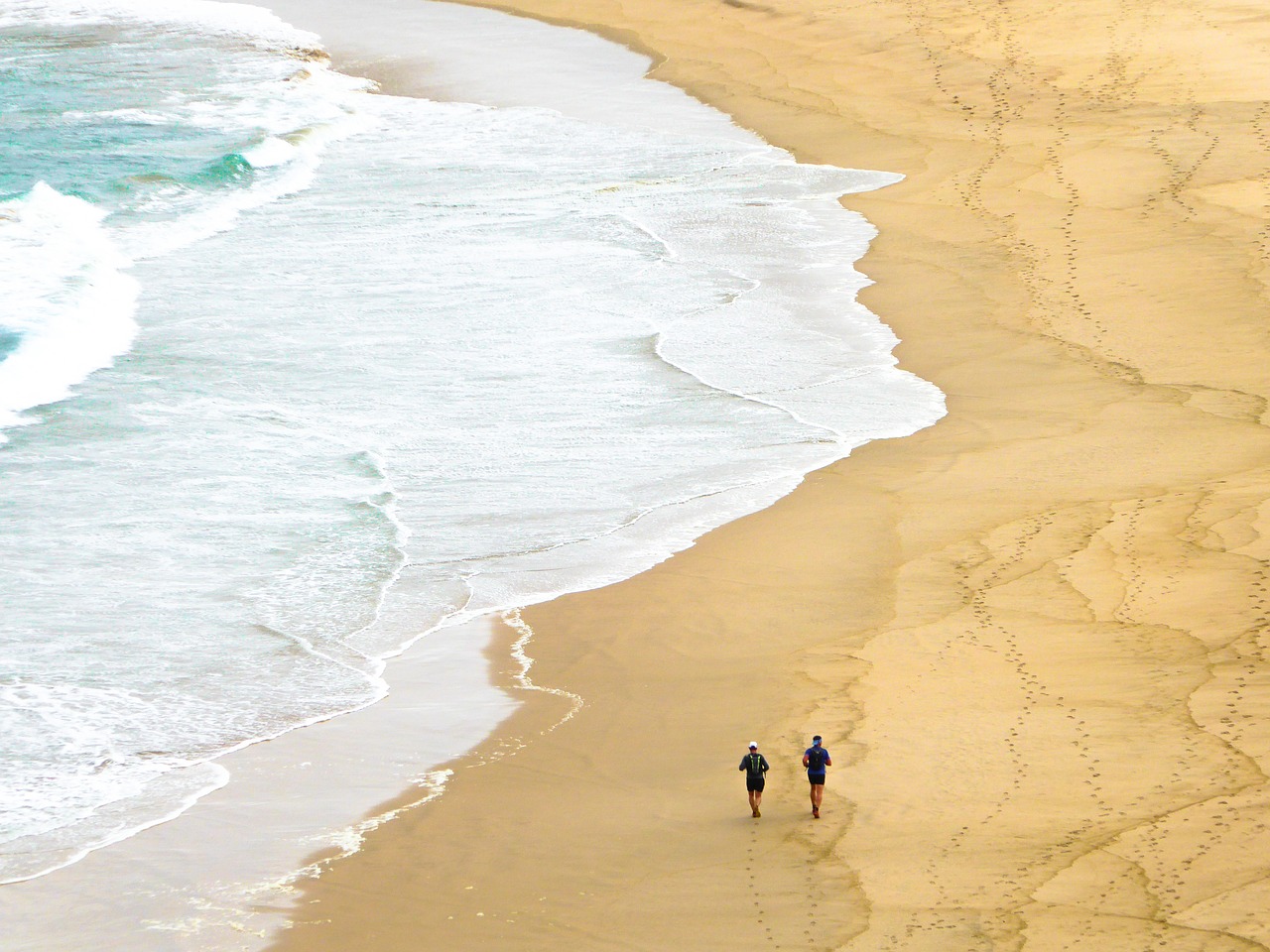 beach sea jog free photo