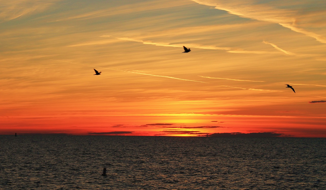 beach sun clearwater beach free photo