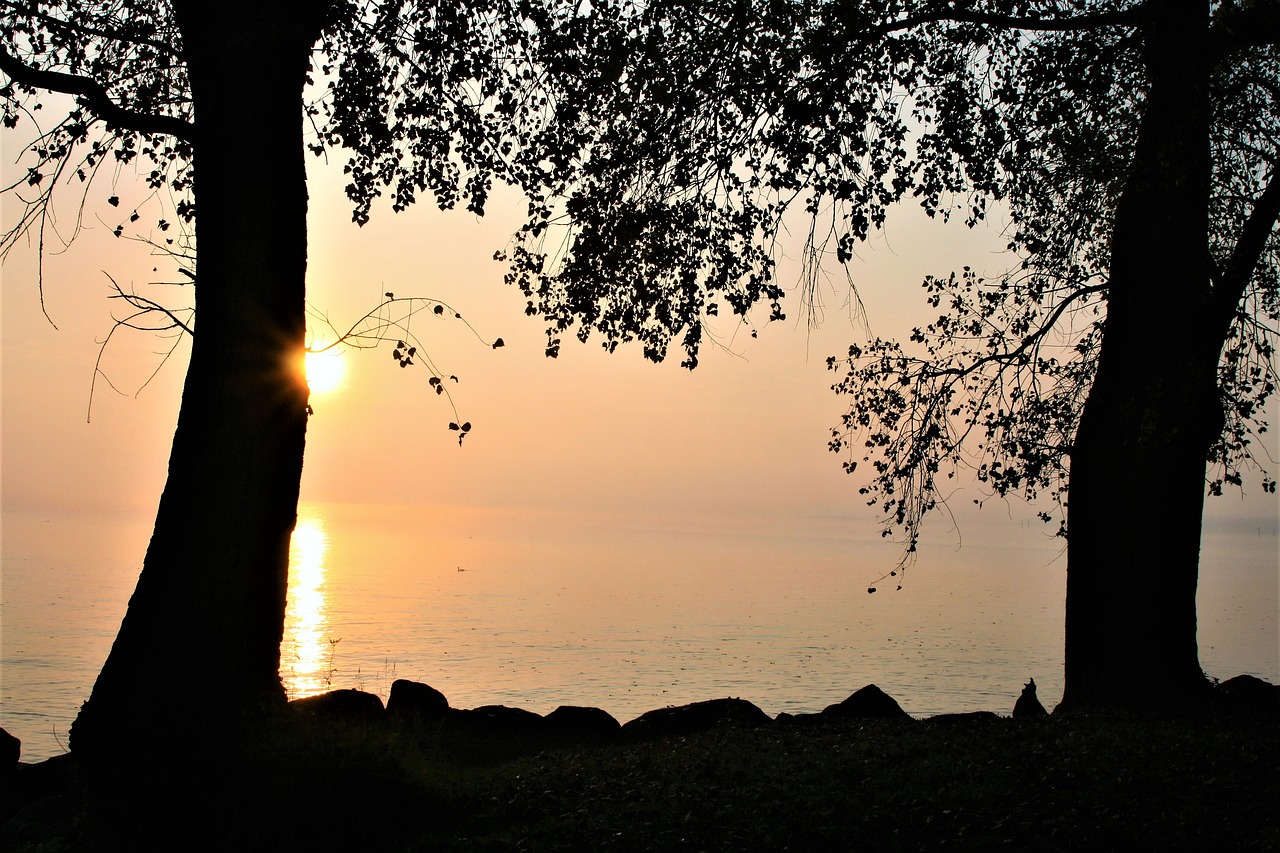 beach lake bodensee free photo