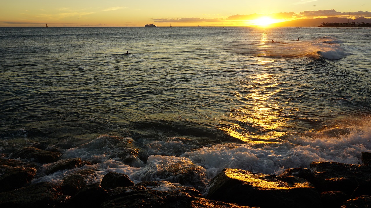 beach wave sea free photo