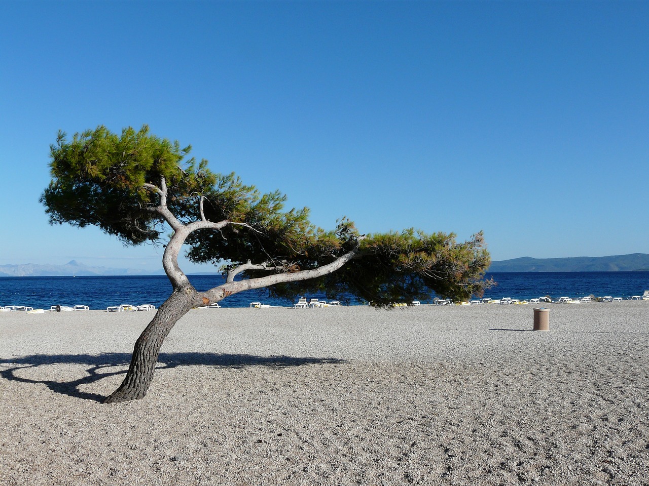 beach sea coastline free photo