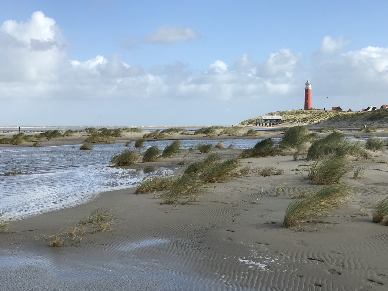 beach sea sun free photo