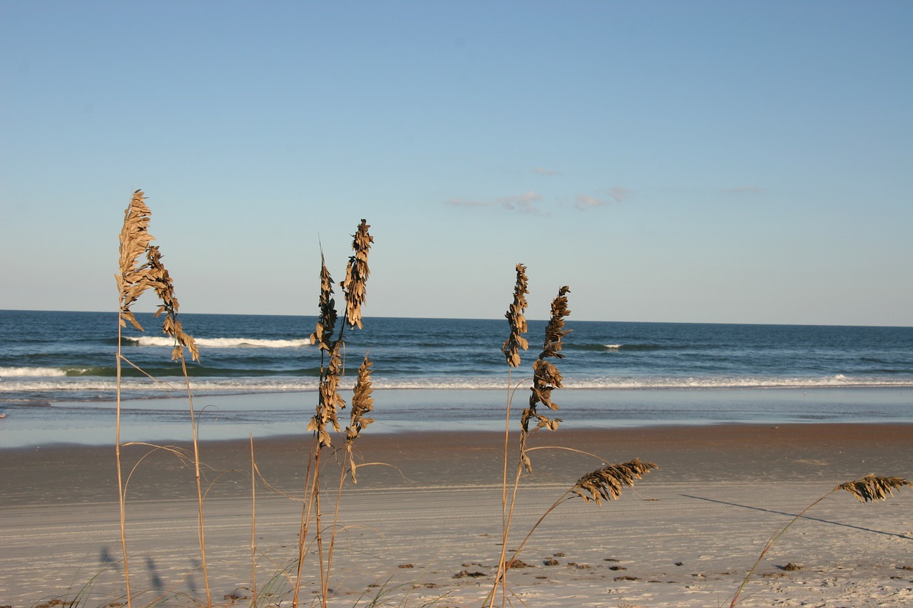 beach sand waves free photo