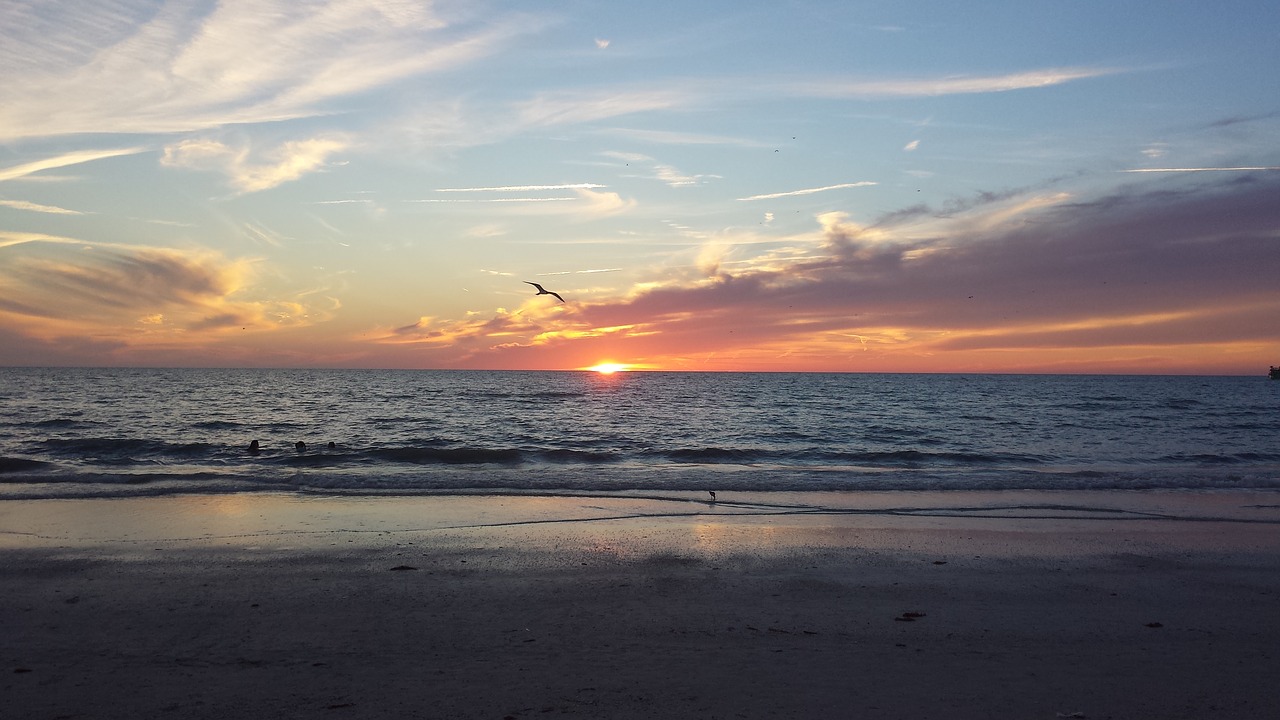 beach sunset ocean free photo