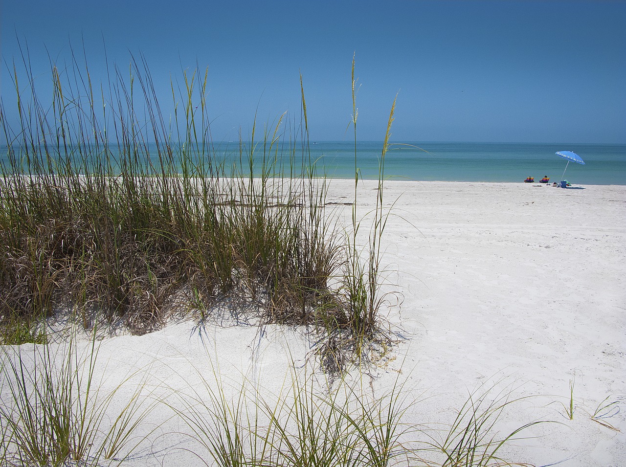 beach sand dunes free photo
