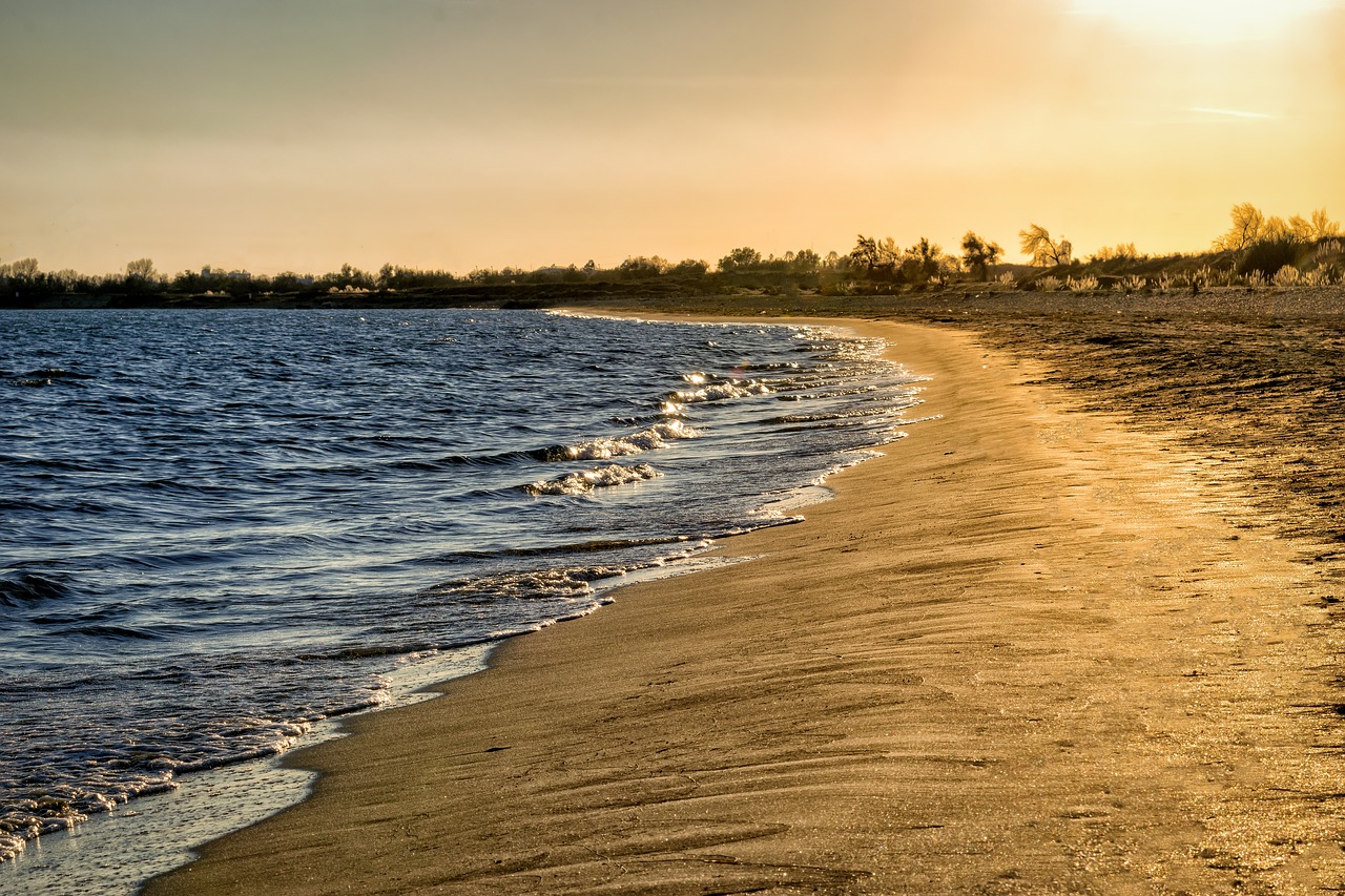 beach sea sand free photo