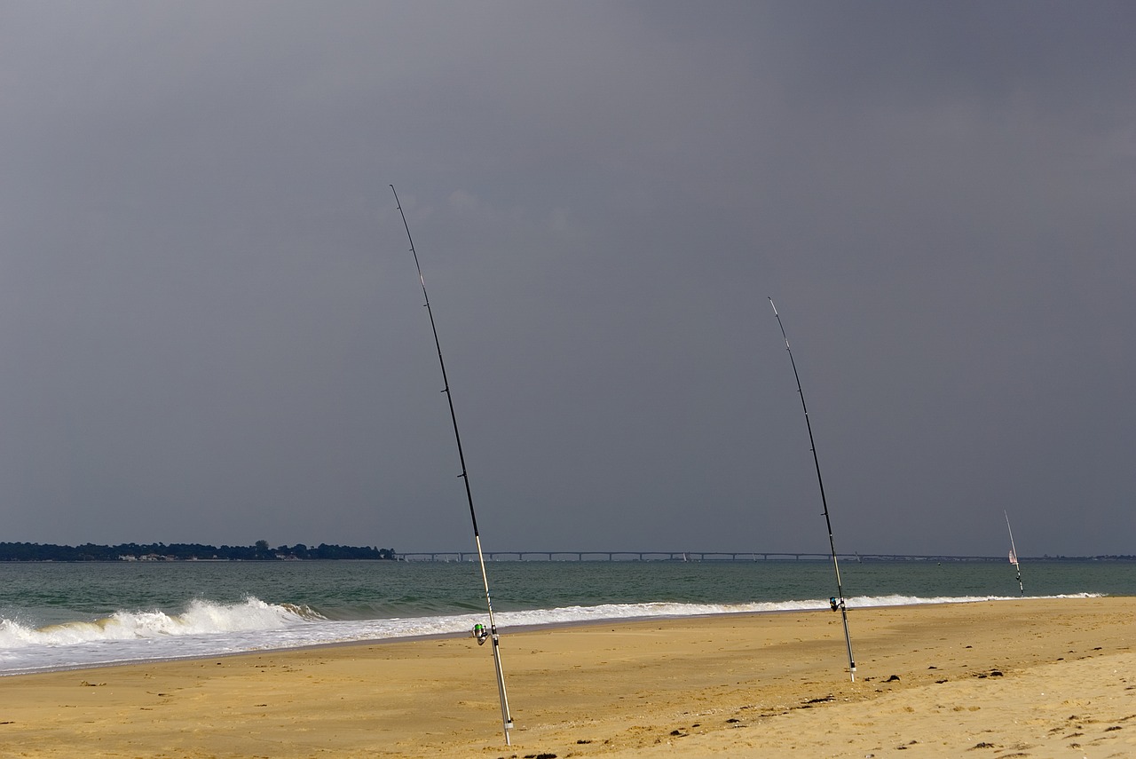 beach fishing ocean free photo